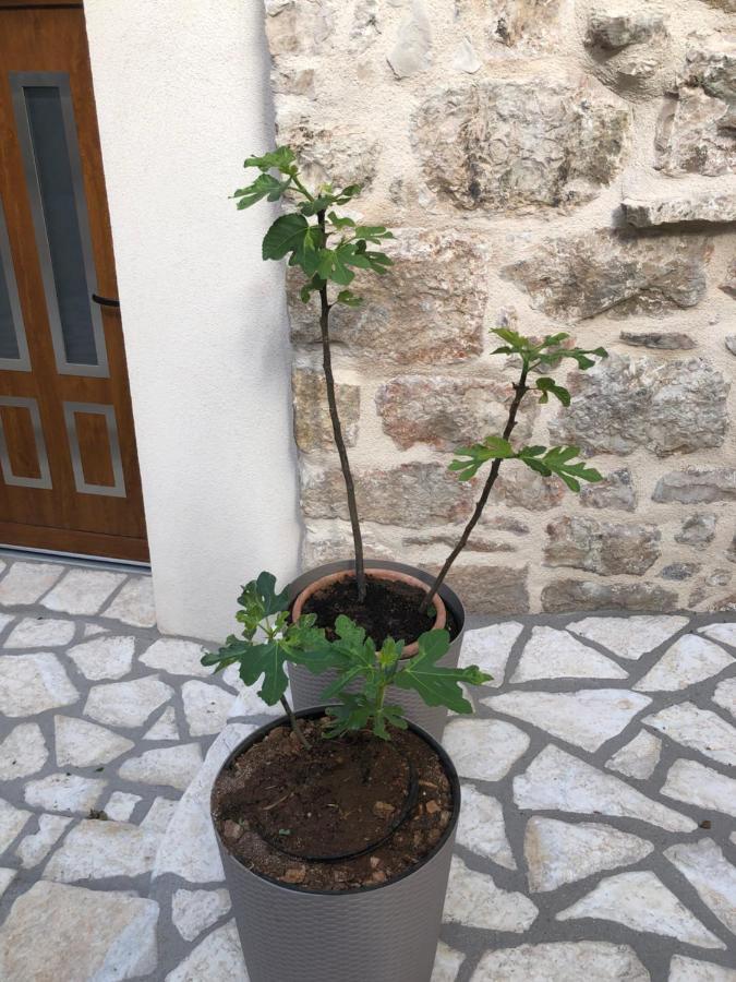 Old Town Apartment Tonka Hvar Town Luaran gambar